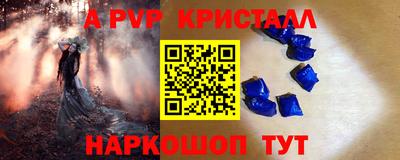 гашик Бердск